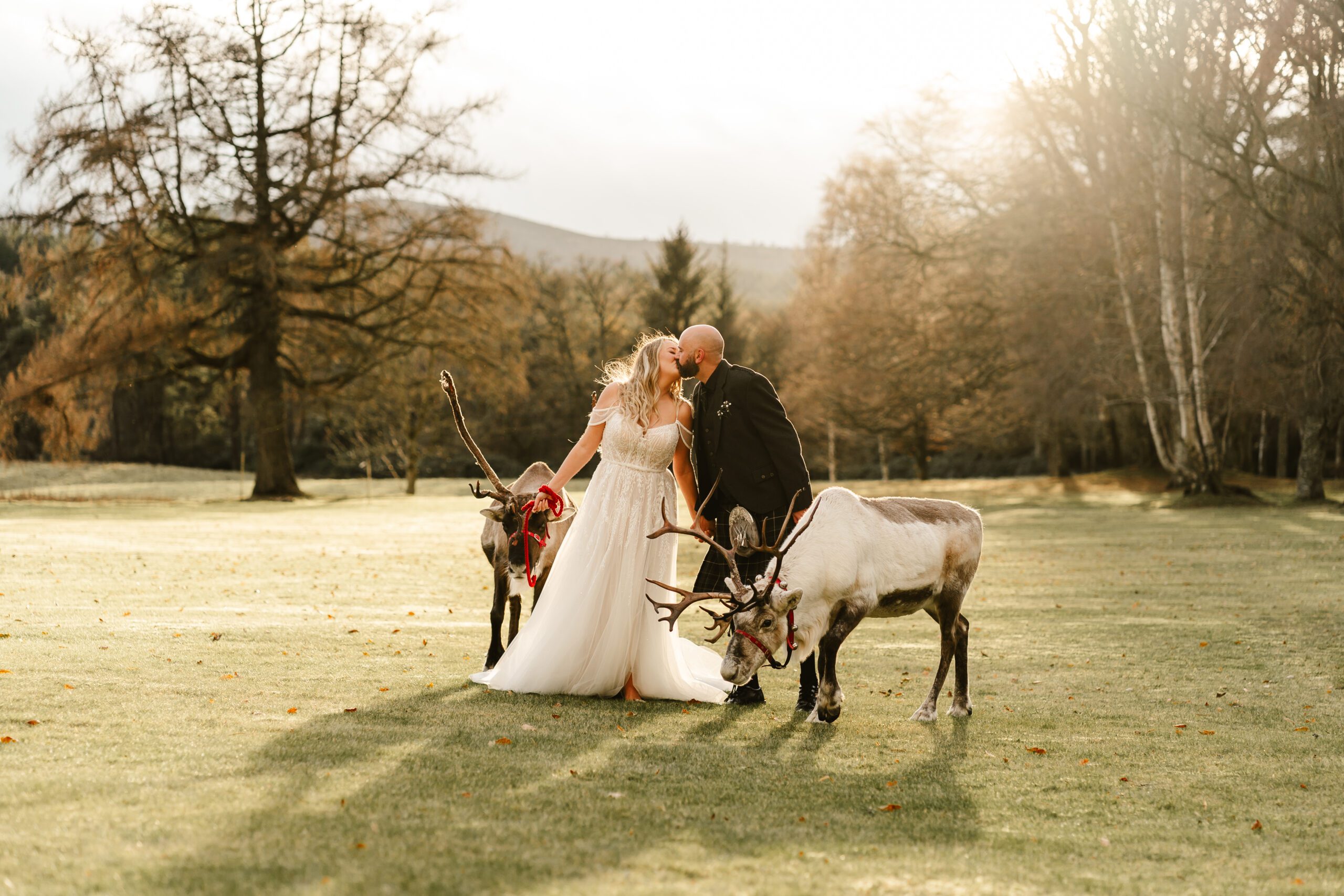Bride and Groom kiss whilst walking reindeers on the ground of Raemoir House Banchory